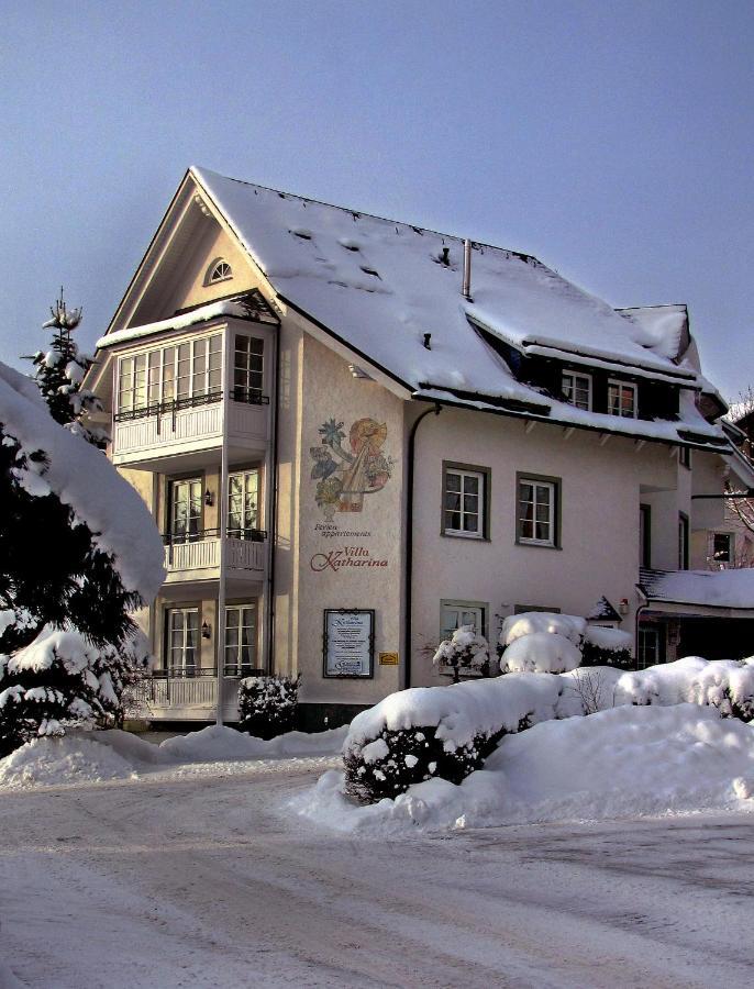 Villa Katharina Penthouse Wohnung Willingen  Exterior foto